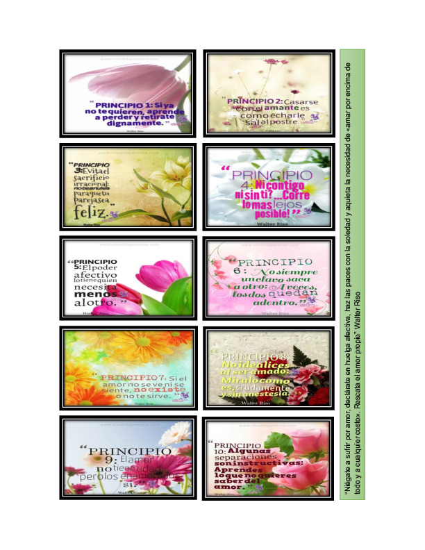 Los 10 principios de supervivencia afectiva Walter Riso.pdf