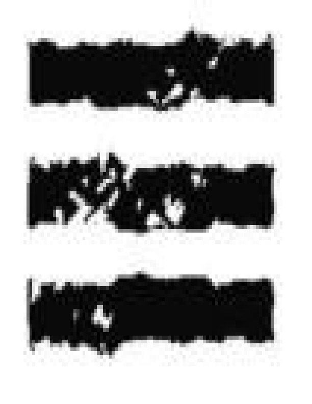 antropologia-de-la-muerte-hermeneia-manuel-fernandez-del-riesgo.pdf antropologia-de-la-muerte-hermeneia-manuel-fernandez-del-riesgo.pdf