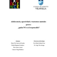 Adolescencia, agresividad y trastornos mentales graves: ¿Quién no es el responsable?