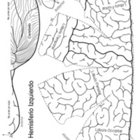 Recortable-del-cerebro.pdf