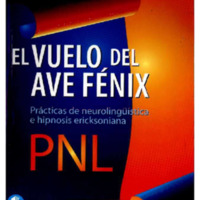 PNL_EL~1.PDF
