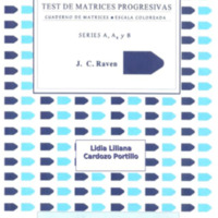 Test de matices progresivas